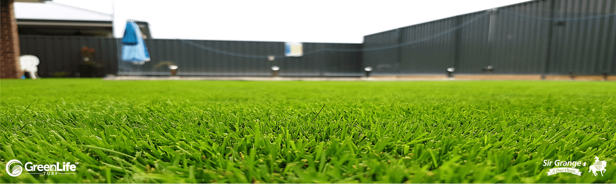 Sir Grange Zoysia Green Life Turf Australia